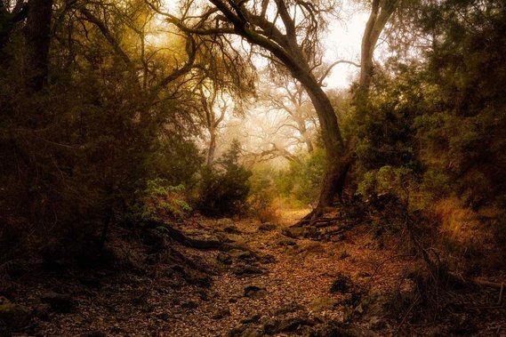 Spring Creek hike, Cordillera Ranch, Boerne, TX