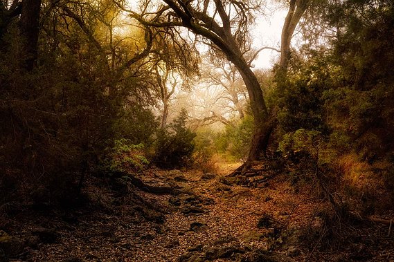 Spring Creek hike, Cordillera Ranch, Boerne, TX