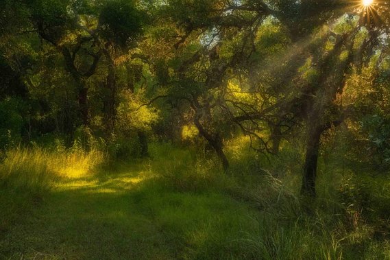 Sunrise on Trail, Langford Ranch, Comfort, TX