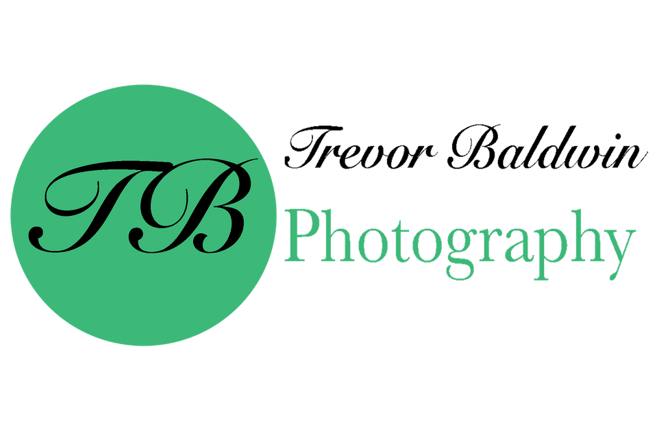 Trevor Baldwin-Portrait and pet photographer