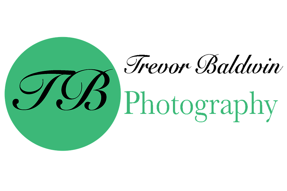 Trevor Baldwin-Portrait and pet photographer