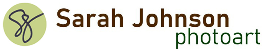 Sarah Johnson's Portfolio