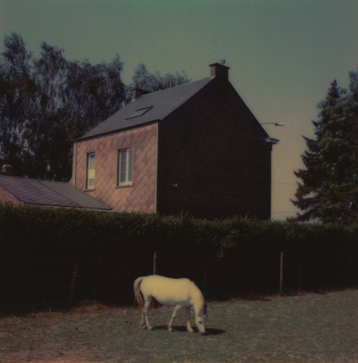 Jean-François Flamey, 2018.
Technique : Polaroid 