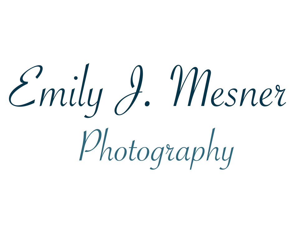 Emily Mesner Photography