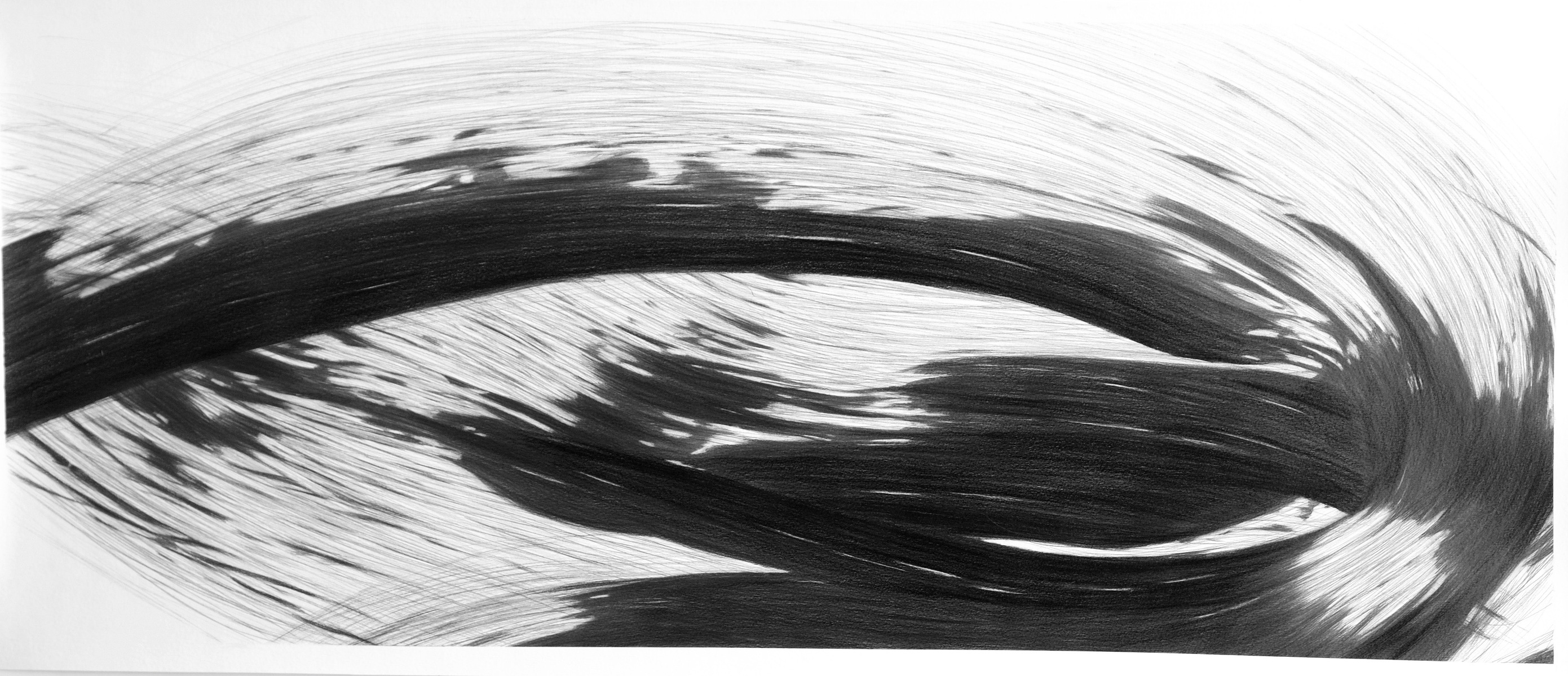 Holding On Very Tightly | Graphite on watercolour paper, 42" x 16.5"