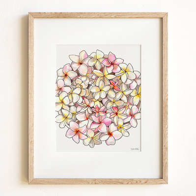 Ink and watercolor illustration of pink plumeria flowers, displayed in a natural wood frame