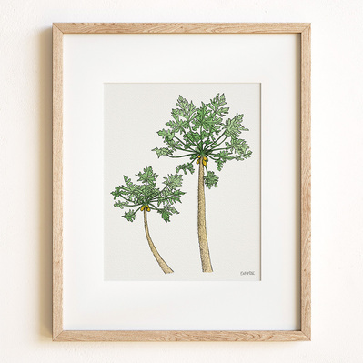 Ink and watercolor illustration of a papaya tree, displayed in a natural wood frame