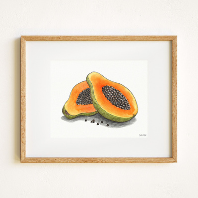 Ink and watercolor Illustration of a papaya cut open, displayed in a natural wood frame