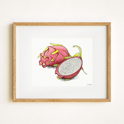 Ink and watercolor illustration of a dragon fruit, displayed in a natural wood frame