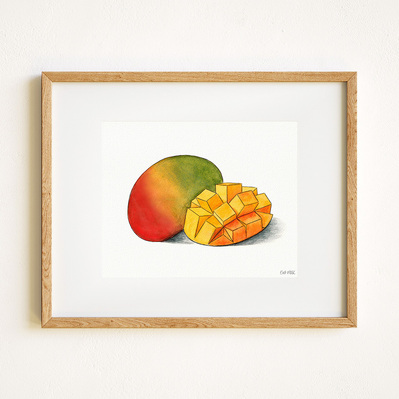 Ink and watercolor Illustration of a mango, displayed in a natural wood frame