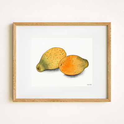 Ink and watercolor Illustration of a papaya, displayed in a natural wood frame