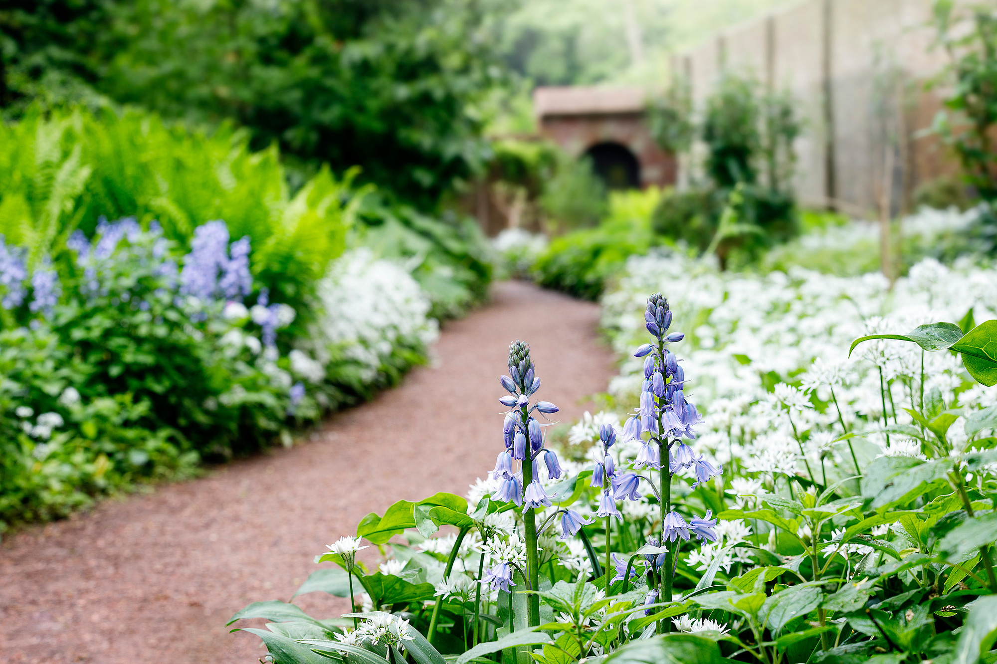 Natuurlijke beplanting