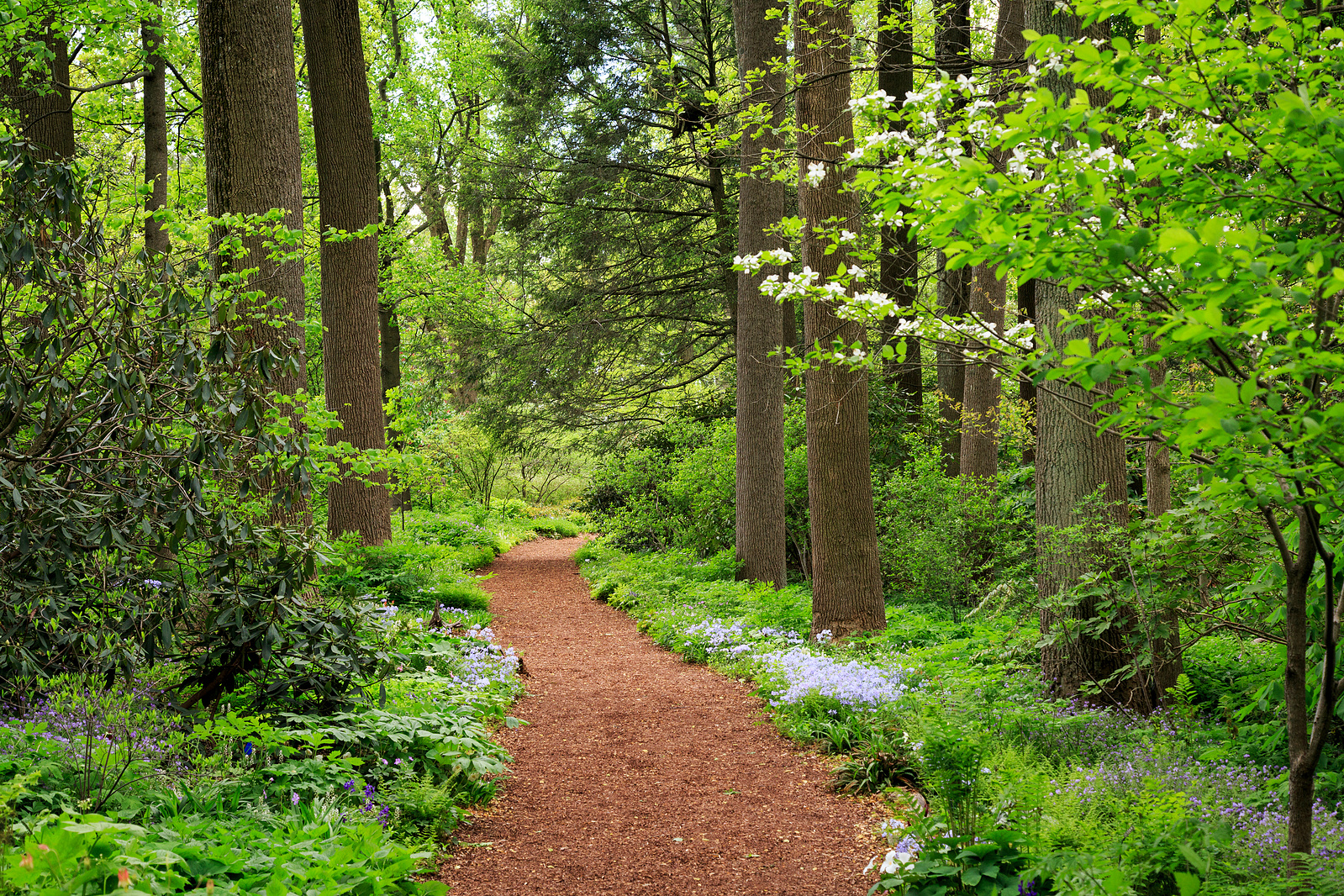 Tuin ontwerp
