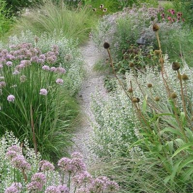 Sjors de Kroon biodiversiteit