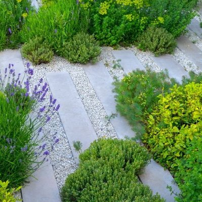 Natuurlijke Tuin Dutch Wave