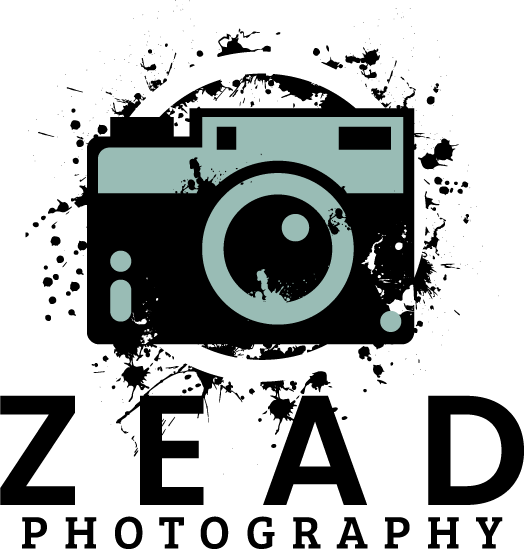 Zachary Daigle 's Portfolio