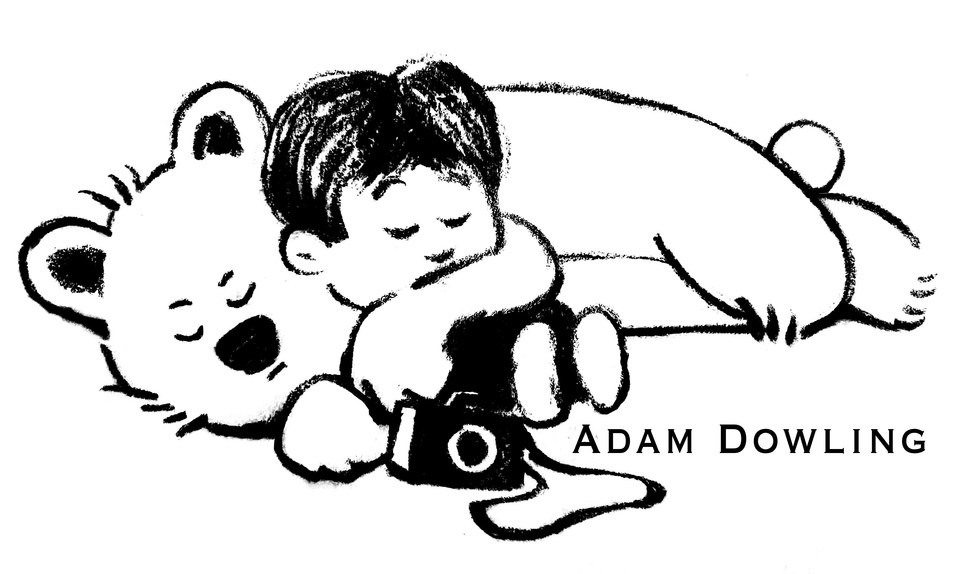 Adam Dowling's Portfolio