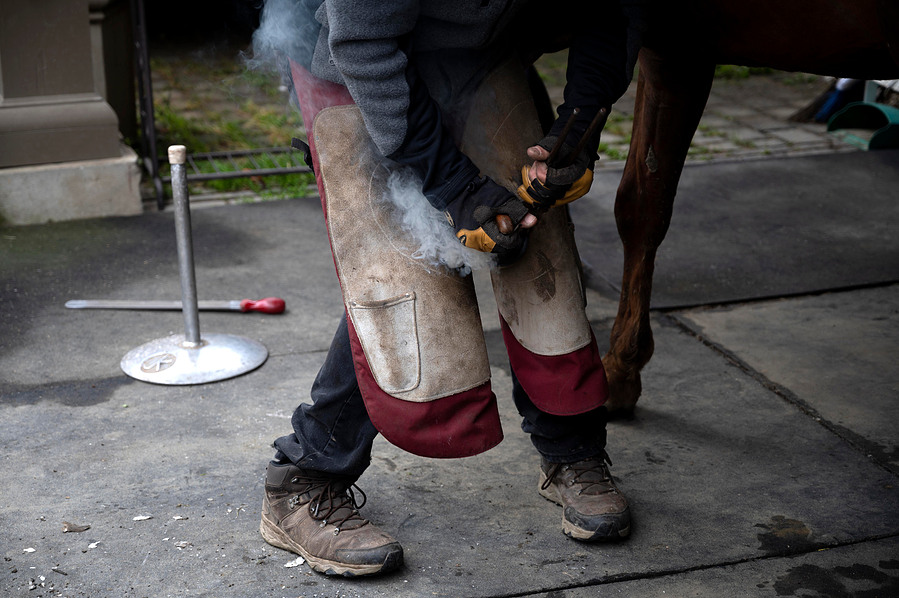 Steve Wiberg of Steve Wiberg Horseshoeing Company shows families how to care for horse hooves by applying horseshoes at the Wunderlich County Parks' 50th Anniversary celebration in Woodside on April 13, 2024. (Karina Patel/The Almanac)