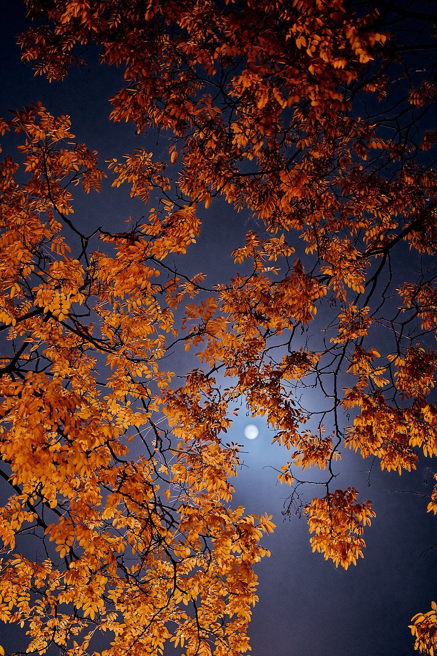 a night sky in paris