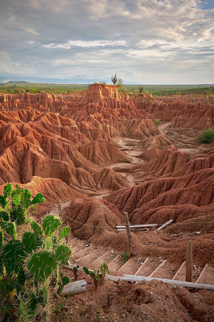 Tatacoa Desert in Colombia. The Red Desert near Neiva