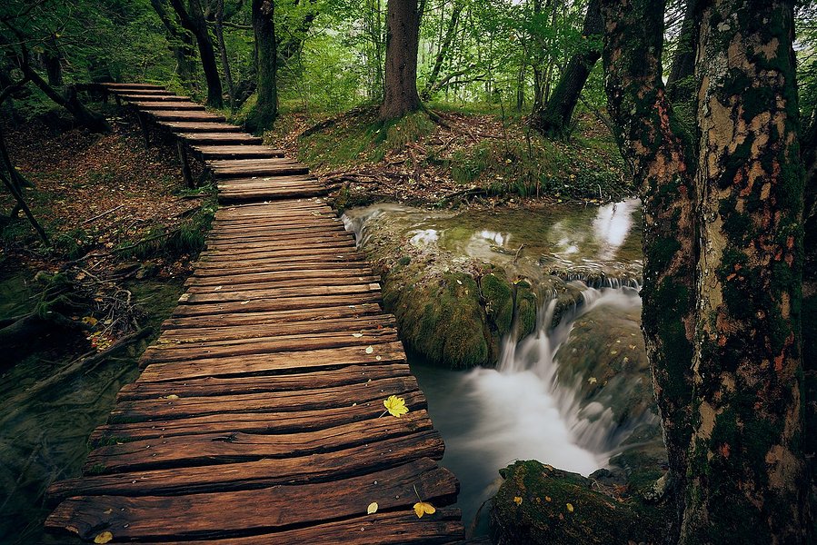 A wooden path over a brook in plitice lakes national park, croatia