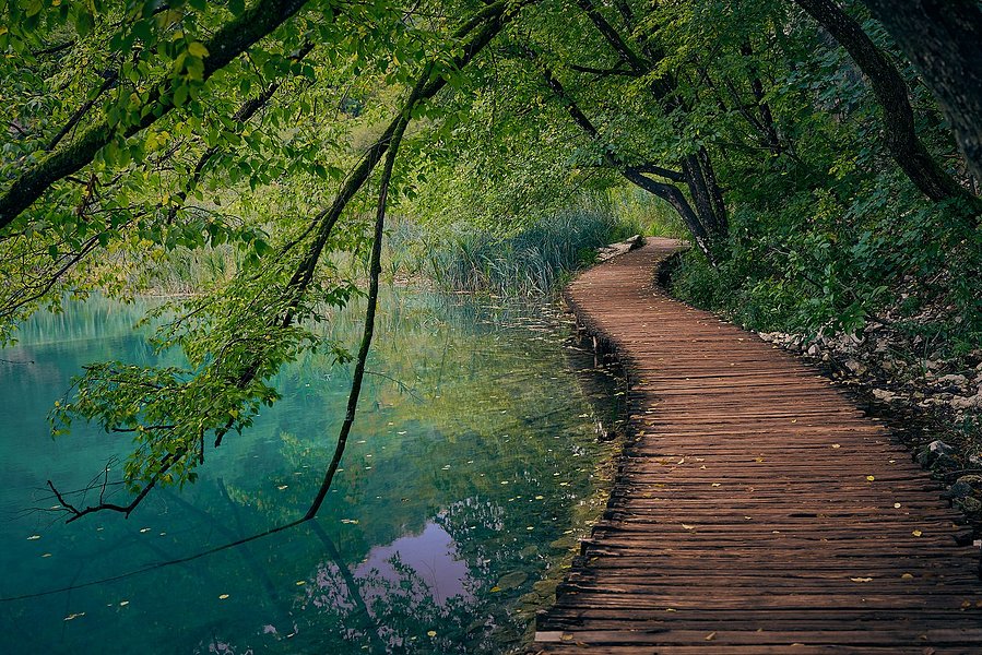 a wooden boardwalk near Plitvice Lakes National Park in Croataia