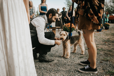 Dog delivers wedding ring