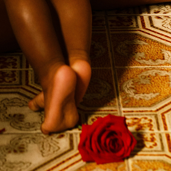 baby feet and red rose
