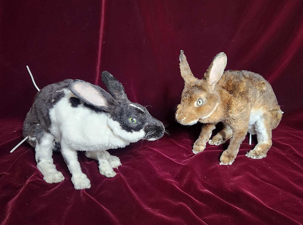 Taxidermy Rabbit puppets from Oliver Levine animation 