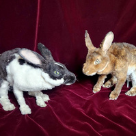 Taxidermy Rabbit puppets from Oliver Levine animation 