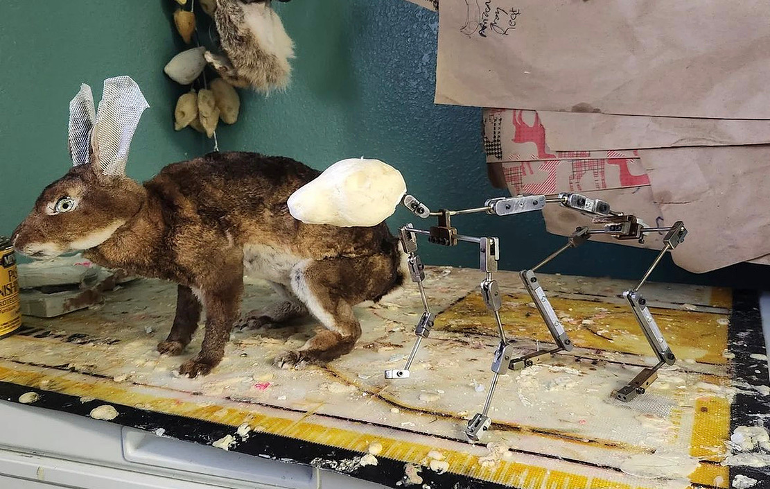 Taxidermy Rabbit puppet armature from Oliver Levine animation 