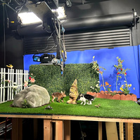 Taxidermy Rabbit puppet set from Oliver Levine animation 