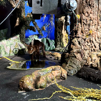 Forest set from Oliver Levine animation