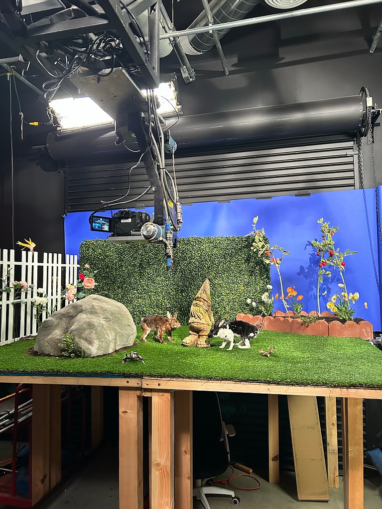 Taxidermy Rabbit puppet set from Oliver Levine animation 