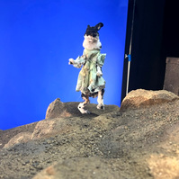  set from Oliver Levine animation