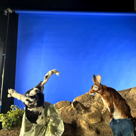  Taxidermy rabbits set from Oliver Levine animation