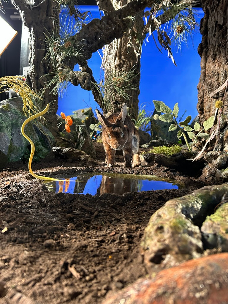 Forest set from Oliver Levine animation