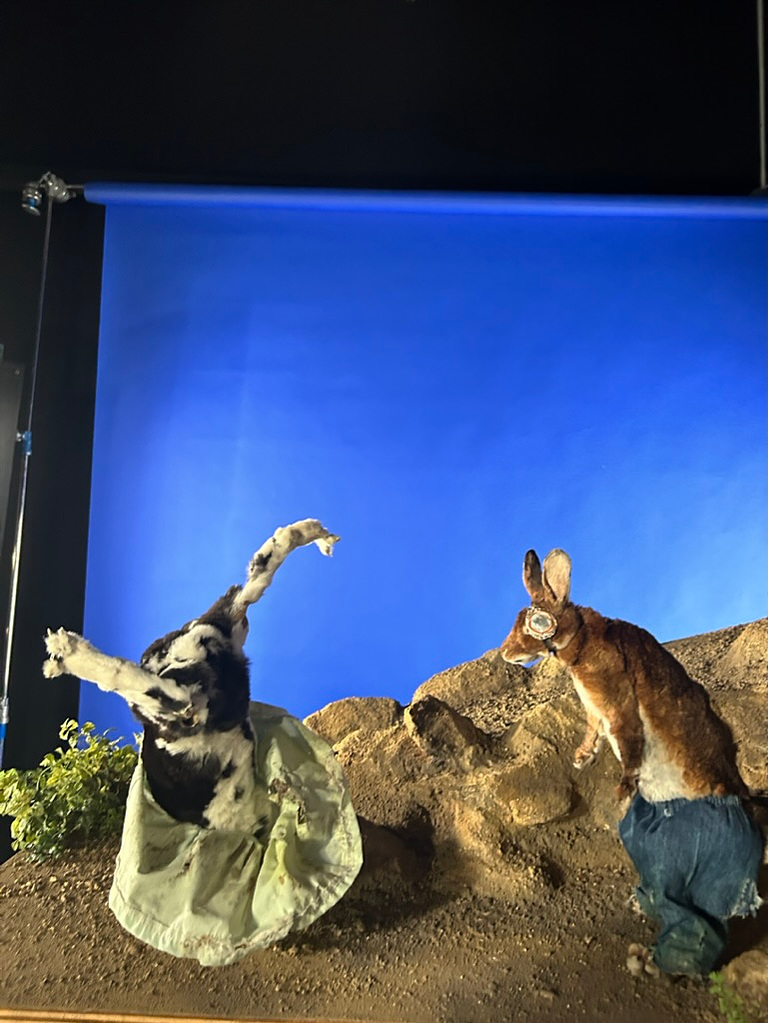  Taxidermy rabbits set from Oliver Levine animation