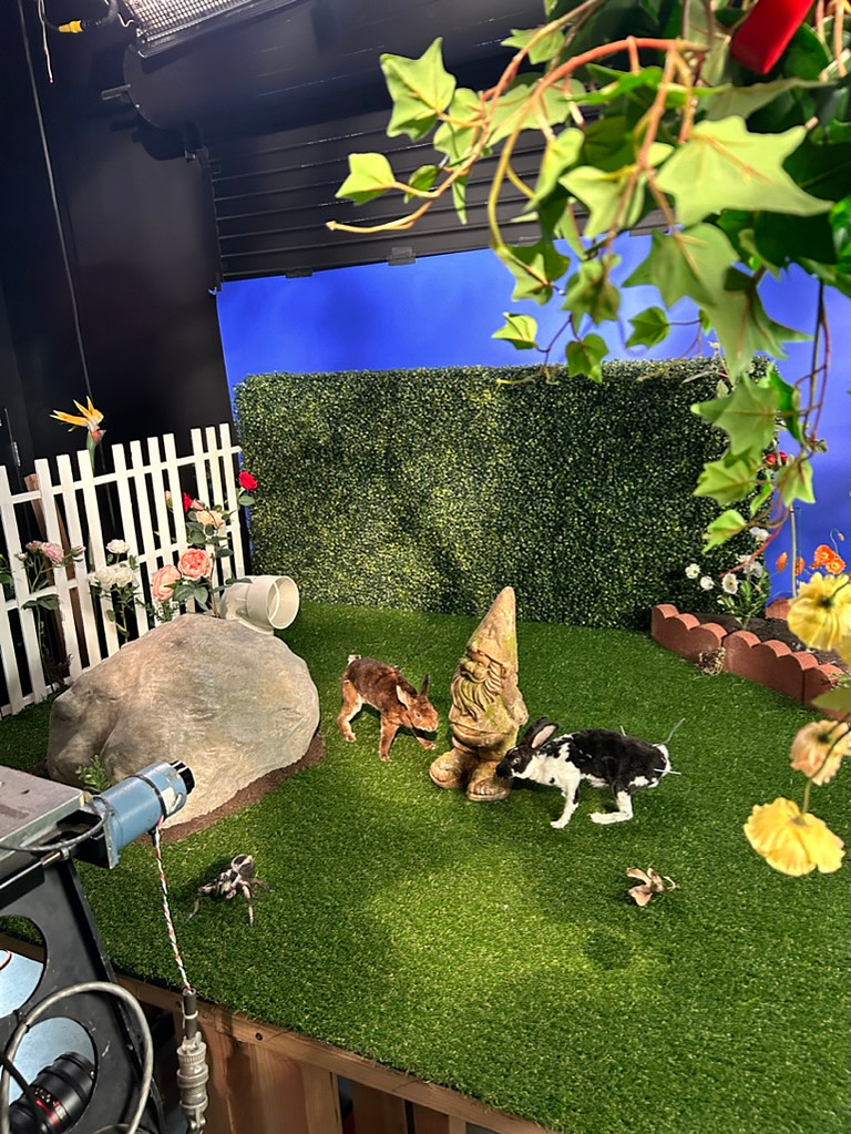Taxidermy Rabbit puppet set from Oliver Levine animation 