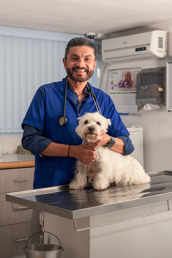 Consultorio veterinario con el doctor atendiendo a un perro de talla pequeña