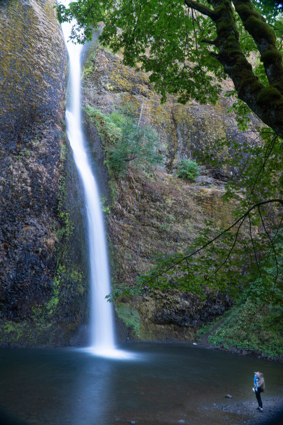 Spring at Horsetail Falls in the Columbia River Gorge
