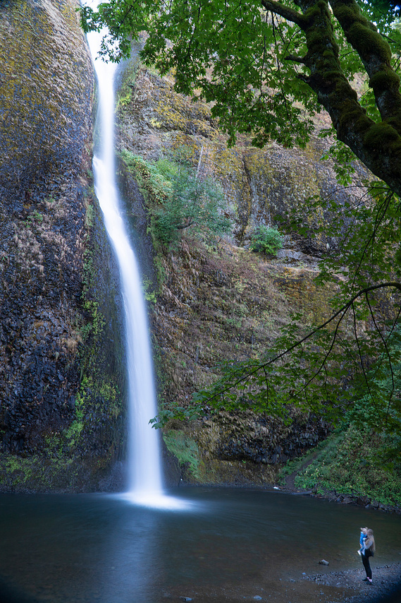 Spring at Horsetail Falls in the Columbia River Gorge