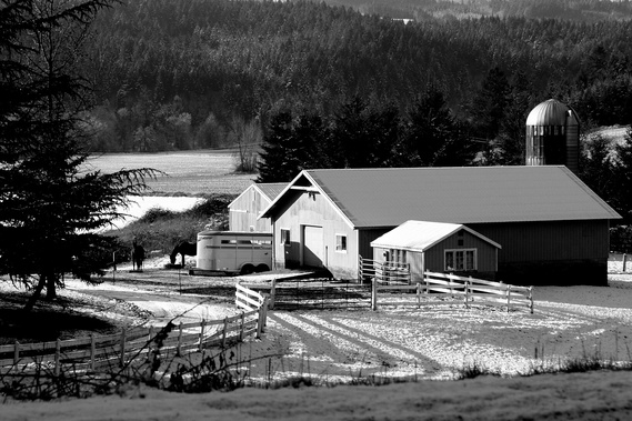 A bright wintery morning with a dusting of snow shines on a farm near Yamhill, Oregon.