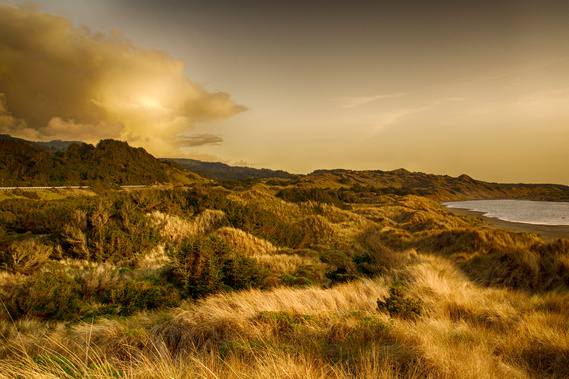 Grassy dunes catch the evening sun near Bandon on the Oregon Coast.