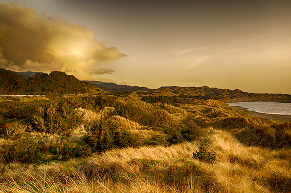 Grassy dunes catch the evening sun near Bandon on the Oregon Coast.