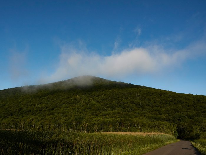 A lush green hudson valley peak with a distinctive cloud hovering in front of a clear blue sky.