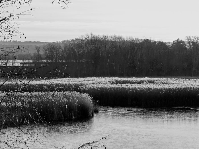 Winter skyline over an upstate lake in the early afternoon.