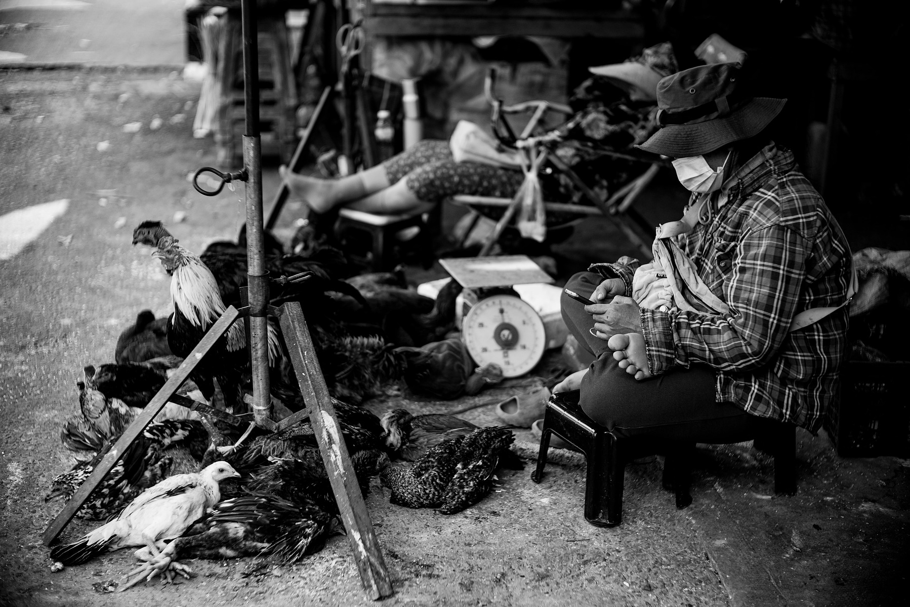 A scene in the a wet market in Siem Reap
