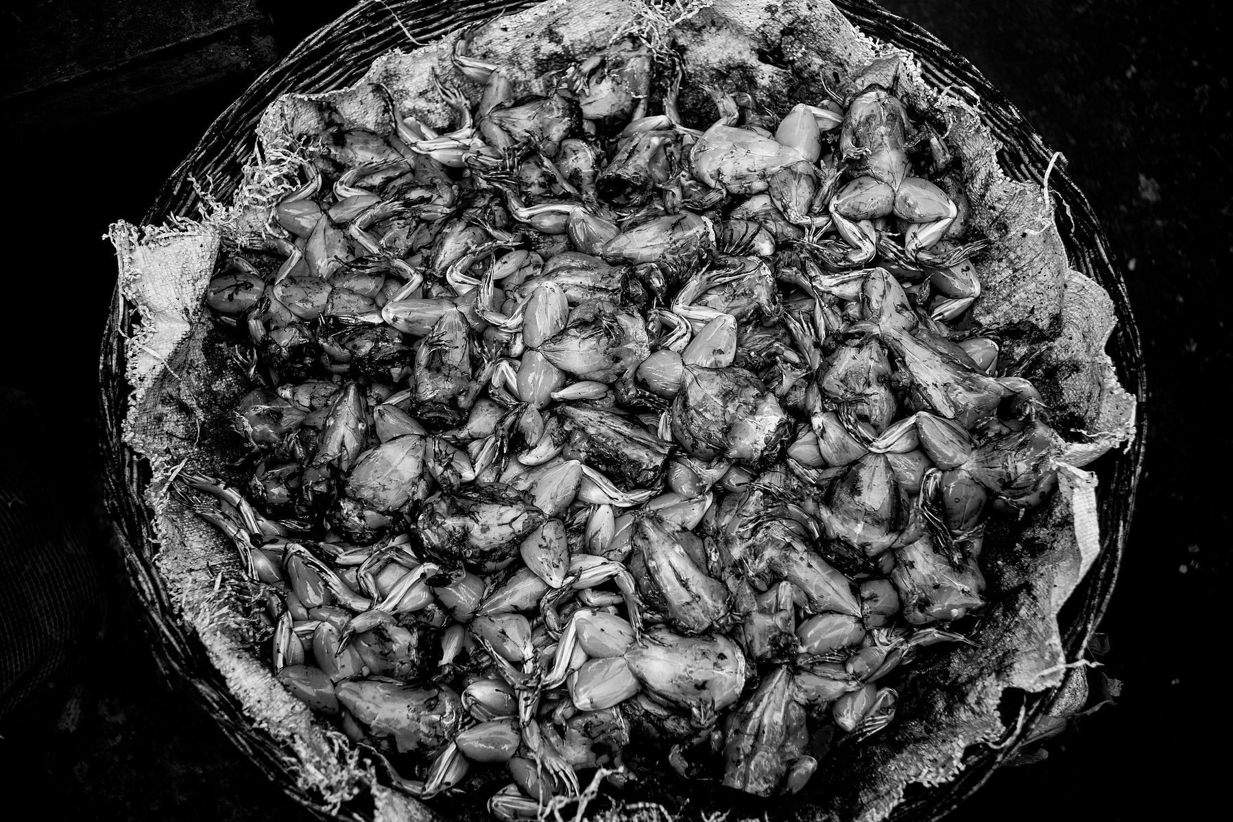 A scene in the a wet market in Siem Reap