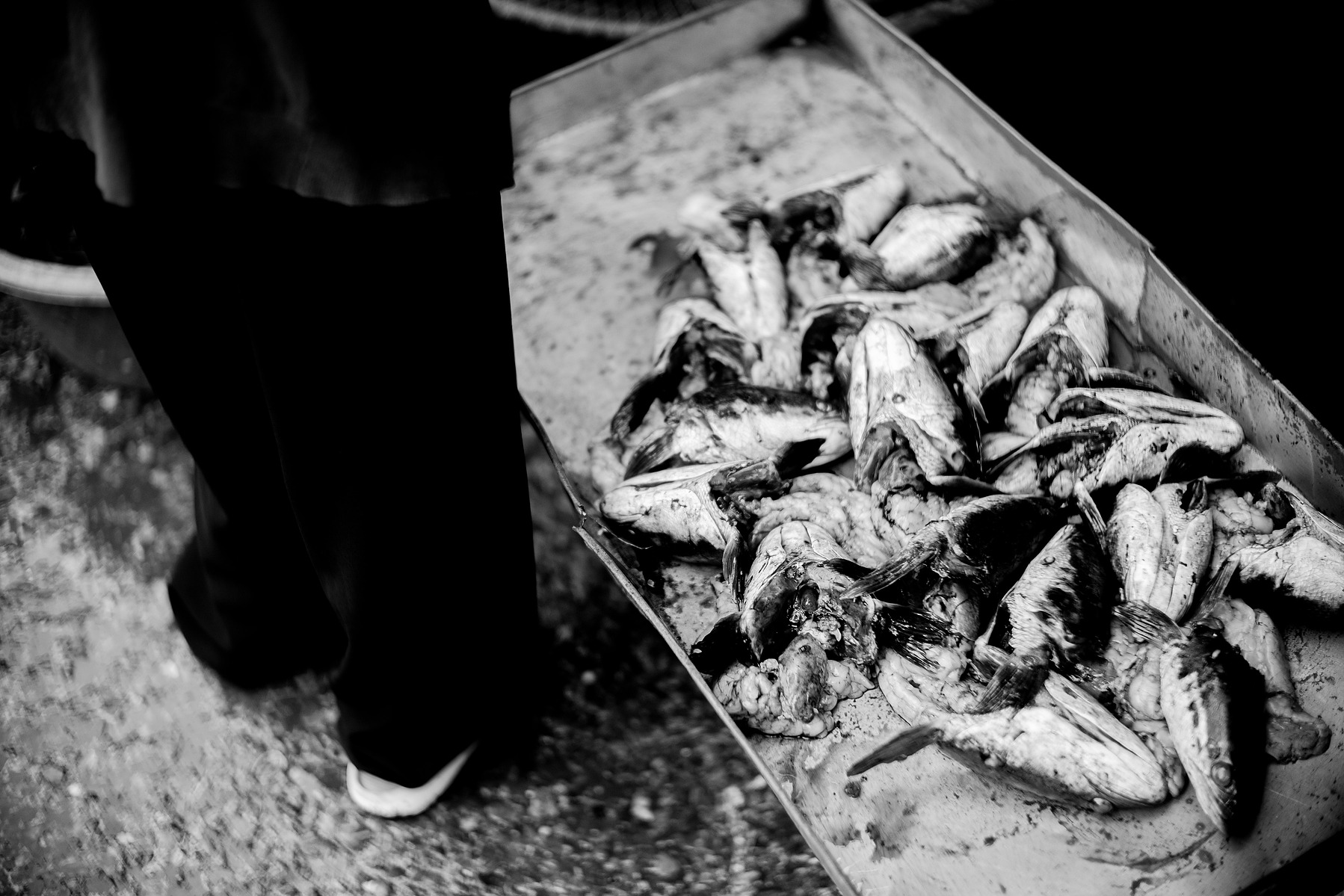 A scene in the a wet market in Siem Reap